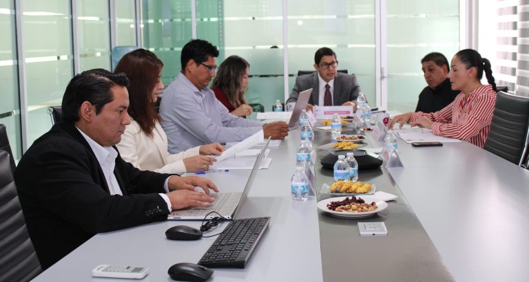 COMITÉ 246 REVISIÓN Y VALIDACIÓN DE PROYECTOS
