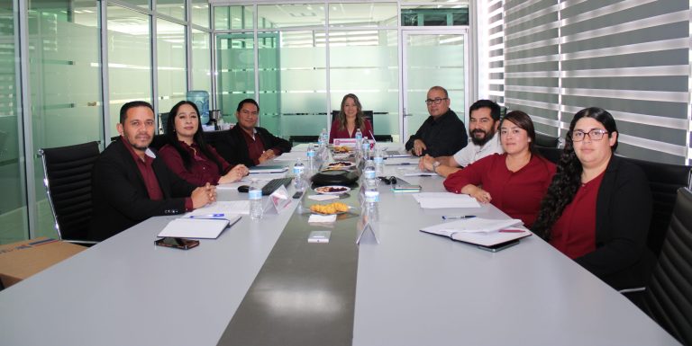 SUBCOMITÉ 167 REVISIÓN Y VALIDACIÓN DE PROYECTOS