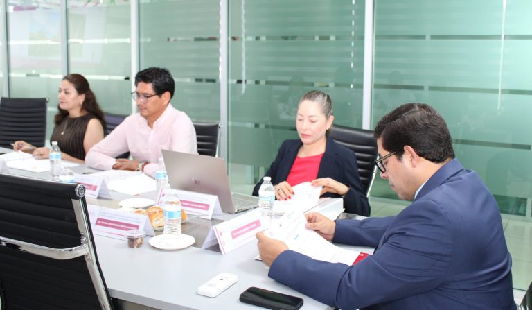 COMITÉ 247 REVISIÓN Y VALIDACIÓN DE PROYECTOS
